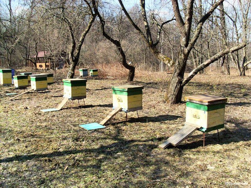 ВНИМАНИЕ!  АО «Советская МТС» (Курская область, Советский район) предупреждает.