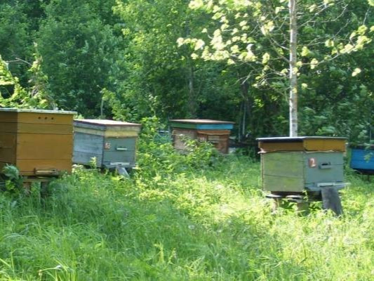 ВНИМАНИЕ!  АО «Советская МТС» (Курская область, Советский район) предупреждает.