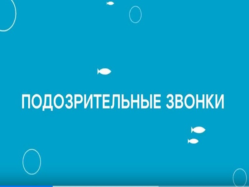 Цифровой ликбез от ПАО «Ростелеком».